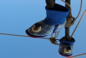 IIP Online Student Photography